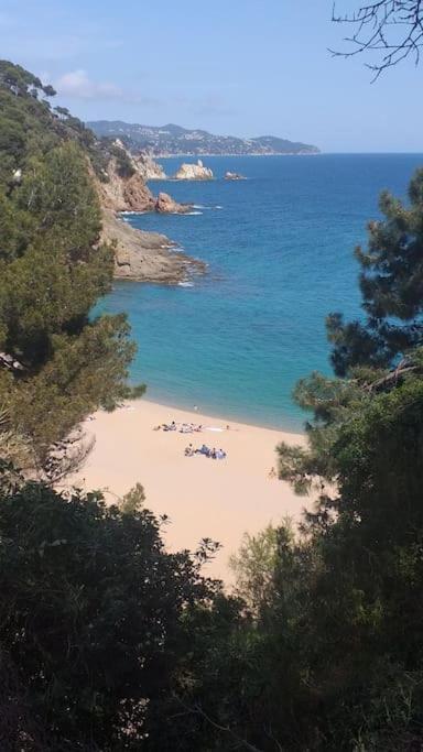 Alegre Apto Con Piscina, A 300M De La Playa. Бланес Экстерьер фото