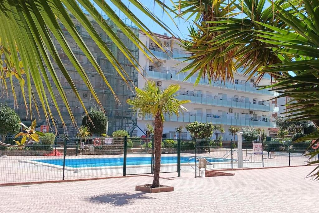 Alegre Apto Con Piscina, A 300M De La Playa. Бланес Экстерьер фото