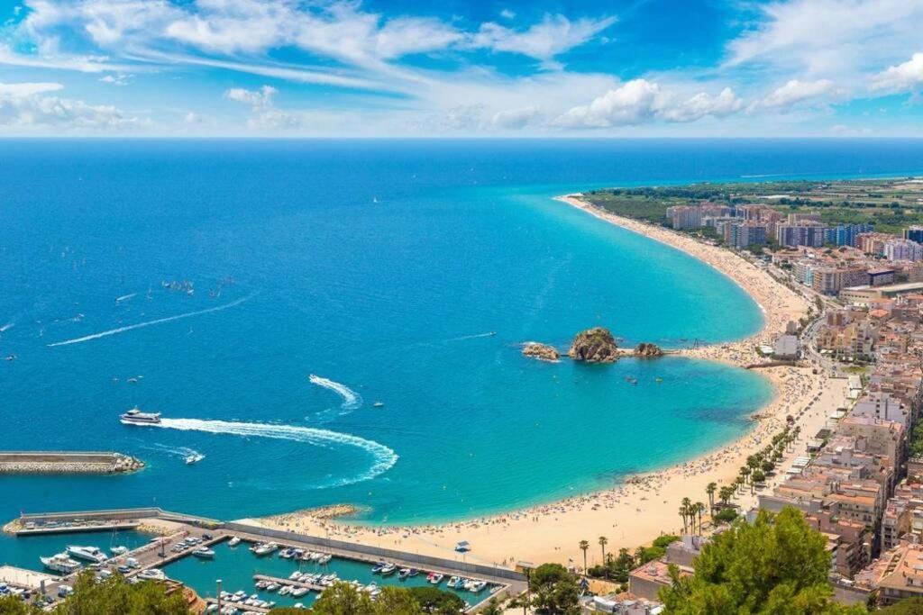 Alegre Apto Con Piscina, A 300M De La Playa. Бланес Экстерьер фото